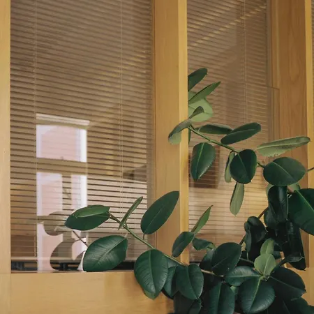 Vandoma Serviced * Πόρτο