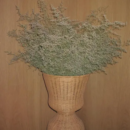 Διαμέρισμα Vandoma Serviced *