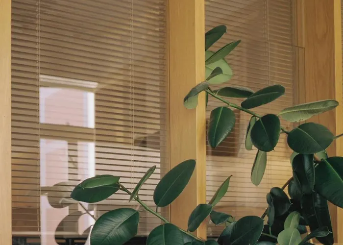 Vandoma Serviced * Oporto