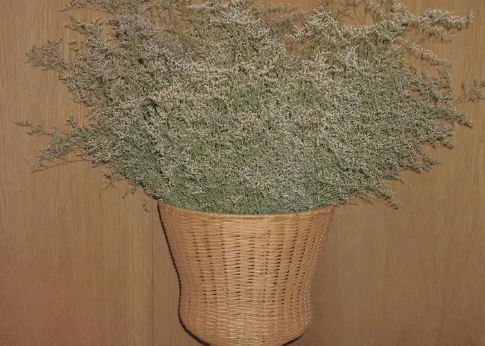 Appartamento Vandoma Serviced *